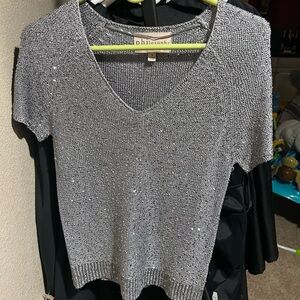 Philosophy Shimmering Silver Knit Top